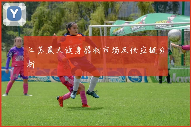 江苏最大健身器材市场及供应链分析
