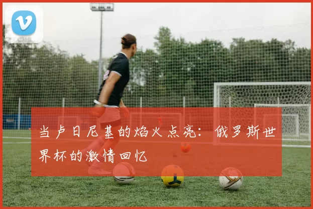 当卢日尼基的焰火点亮:俄罗斯世界杯的激情回忆
