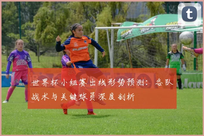世界杯小组赛出线形势预测：各队战术与关键球员深度剖析