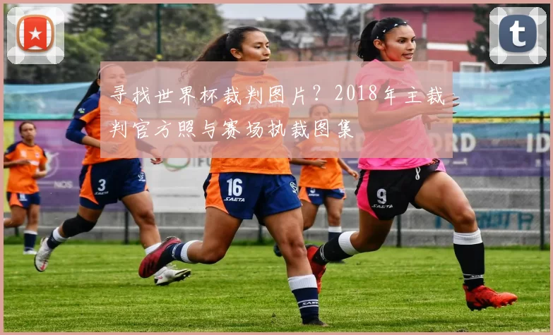 寻找世界杯裁判图片？2018年主裁判官方照与赛场执裁图集