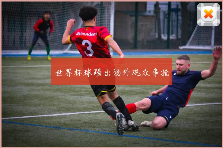 世界杯球踢出场外观众争抢