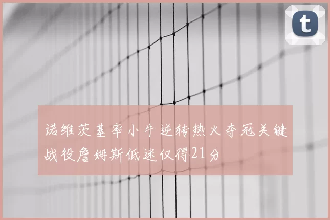 诺维茨基率小牛逆转热火夺冠关键战役詹姆斯低迷仅得21分