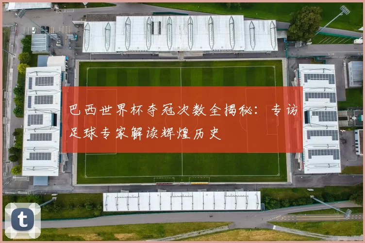 巴西世界杯夺冠次数全揭秘：专访足球专家解读辉煌历史