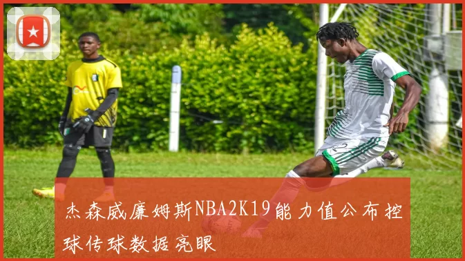 杰森威廉姆斯NBA2K19能力值公布控球传球数据亮眼