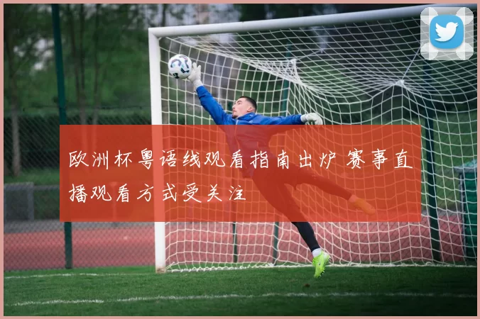 欧洲杯粤语线观看指南出炉 赛事直播观看方式受关注