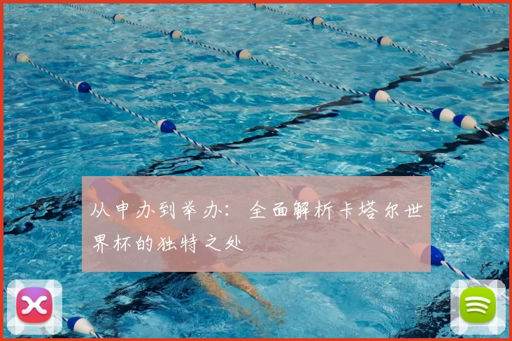 从申办到举办：全面解析卡塔尔世界杯的独特之处