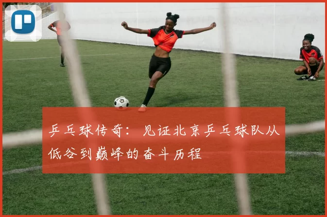乒乓球传奇：见证北京乒乓球队从低谷到巅峰的奋斗历程
