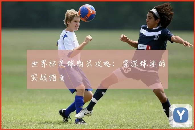 世界杯足球购买攻略：资深球迷的实战指南