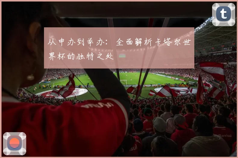 从申办到举办：全面解析卡塔尔世界杯的独特之处