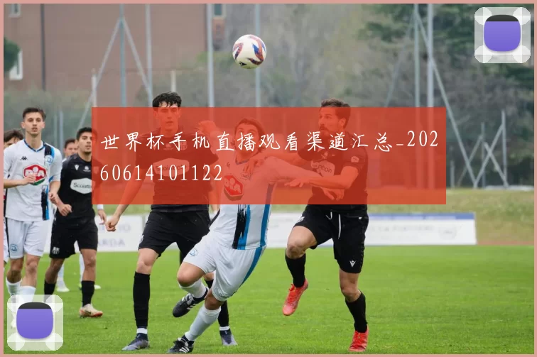 世界杯手机直播观看渠道汇总_20260614101122