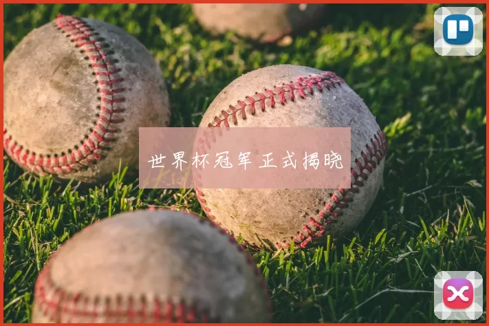 世界杯冠军正式揭晓