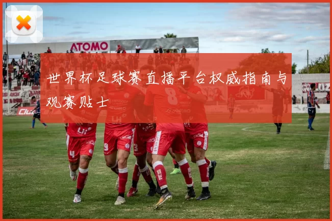 世界杯足球赛直播平台权威指南与观赛贴士