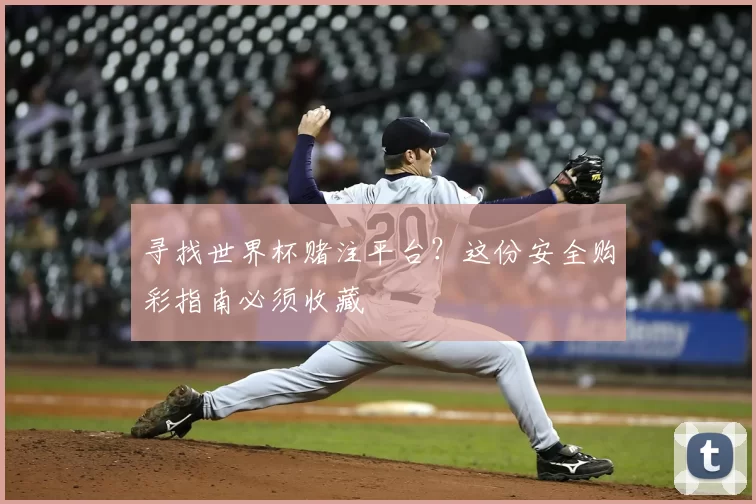 寻找世界杯赌注平台？这份安全购彩指南必须收藏