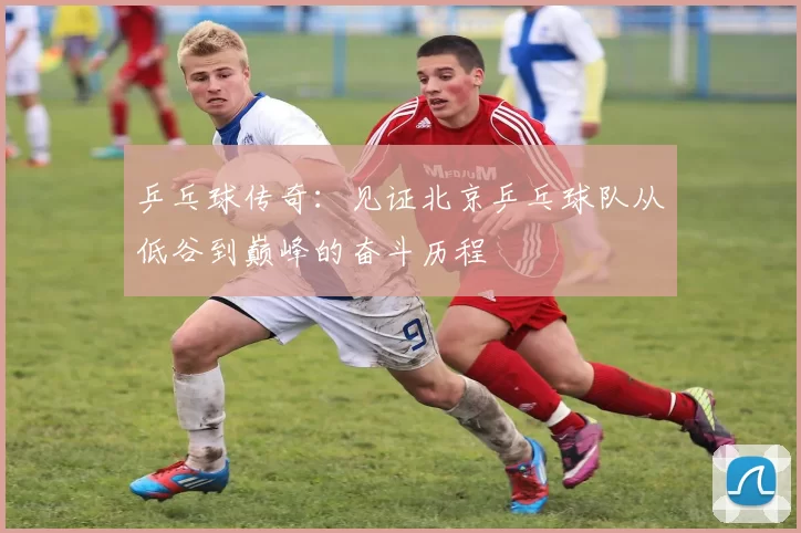 乒乓球传奇：见证北京乒乓球队从低谷到巅峰的奋斗历程