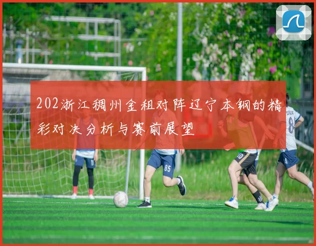 202浙江稠州金租对阵辽宁本钢的精彩对决分析与赛前展望