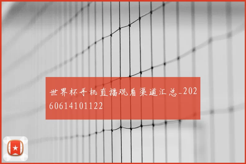 世界杯手机直播观看渠道汇总_20260614101122