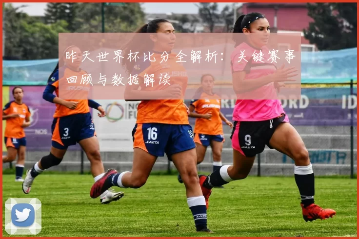 昨天世界杯比分全解析:关键赛事回顾与数据解读
