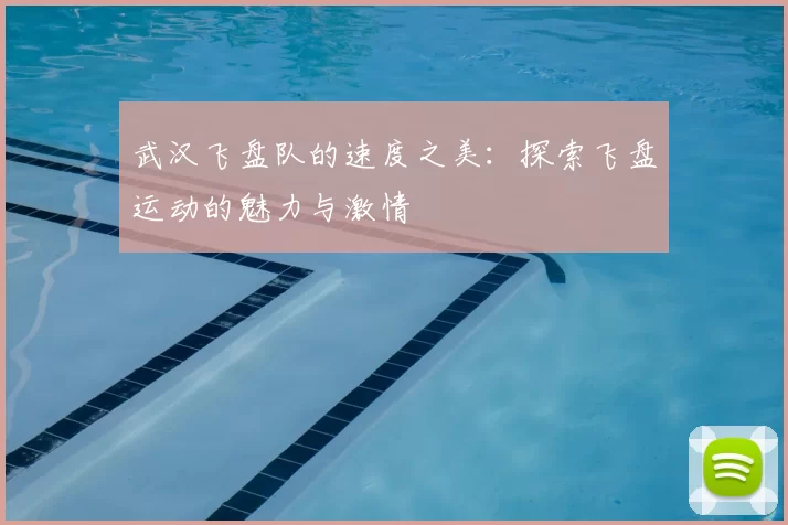 武汉飞盘队的速度之美：探索飞盘运动的魅力与激情